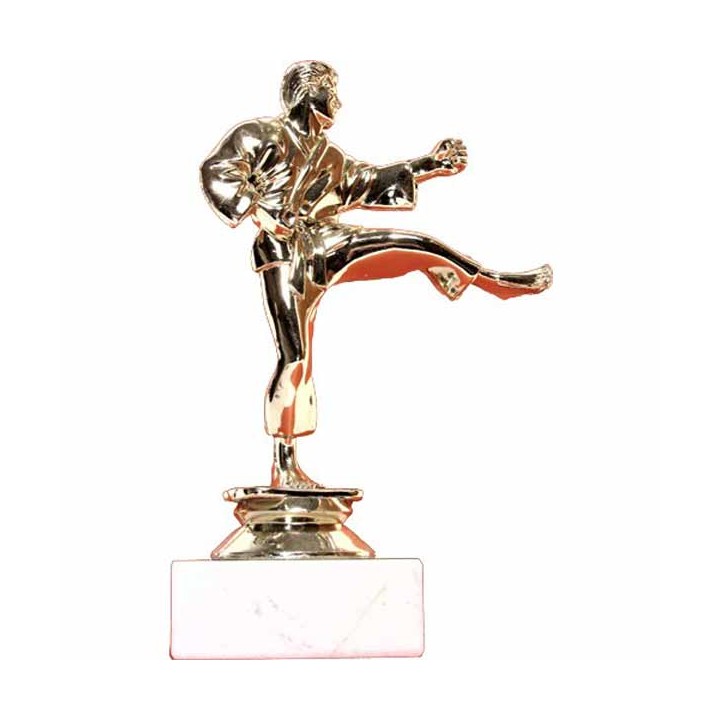 Karate trofej