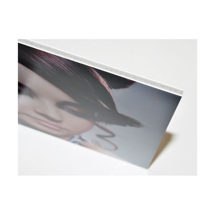 tisk fotoobrazu z fotografie