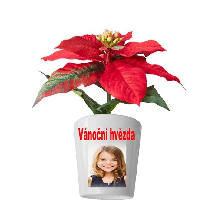 Sklo na potisk srdce