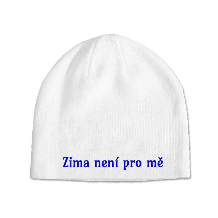 Zimní čepice