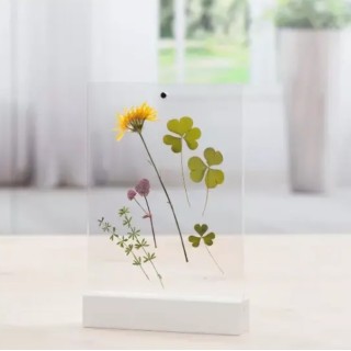 Fotorámečky s dřevěným rámem